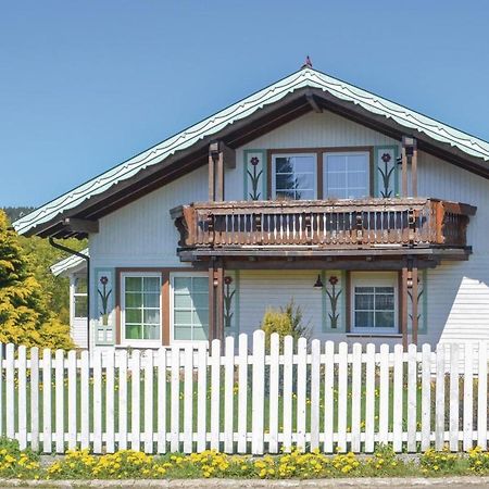 Villa Galerie Haus Braunlage Exterior foto