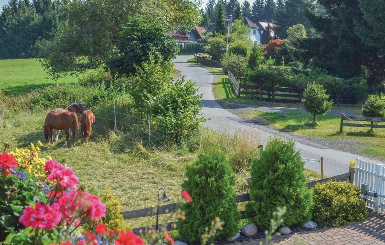 Villa Galerie Haus Braunlage Exterior foto