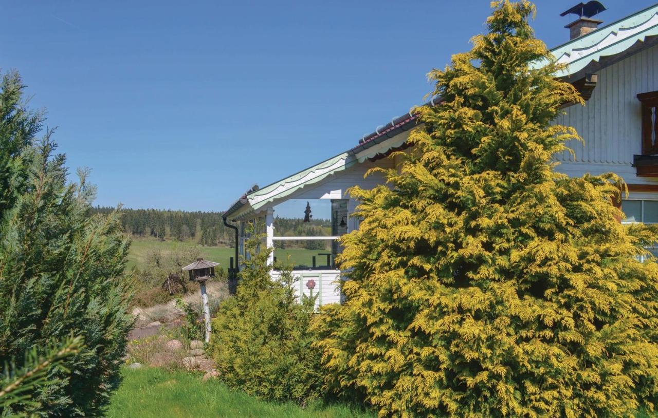 Villa Galerie Haus Braunlage Exterior foto